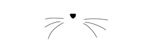 7cha4's profile banner image