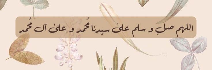 زينب. banner