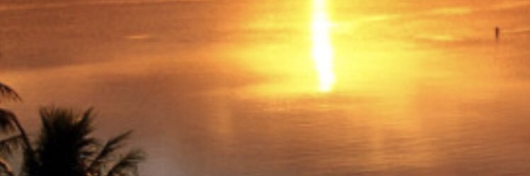 tking2828's profile banner image