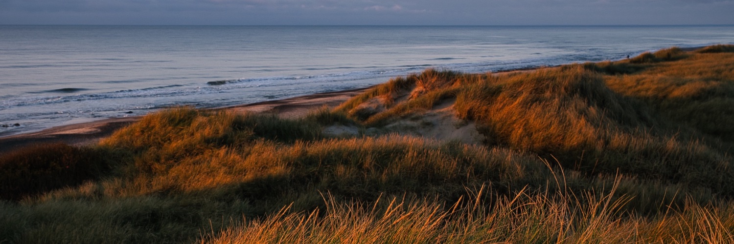 Name? Klar! 🇩🇰 banner