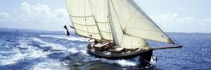 deborahdelpazo's profile banner image