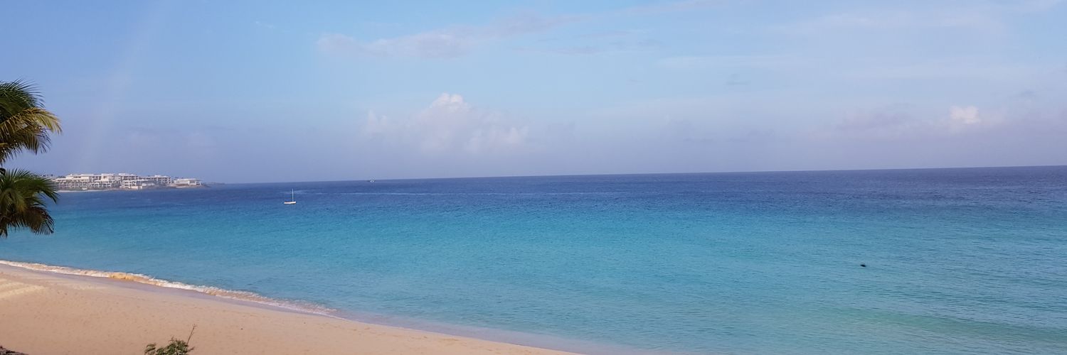 buckynnl's profile banner image