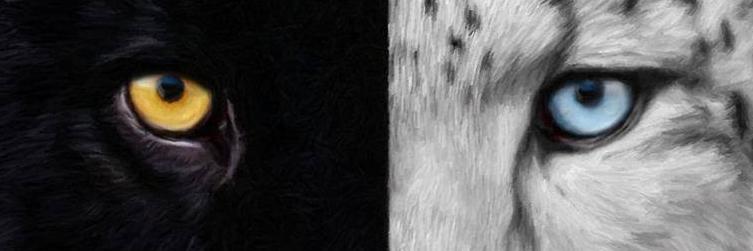 Gonzalo Arasa Degani banner