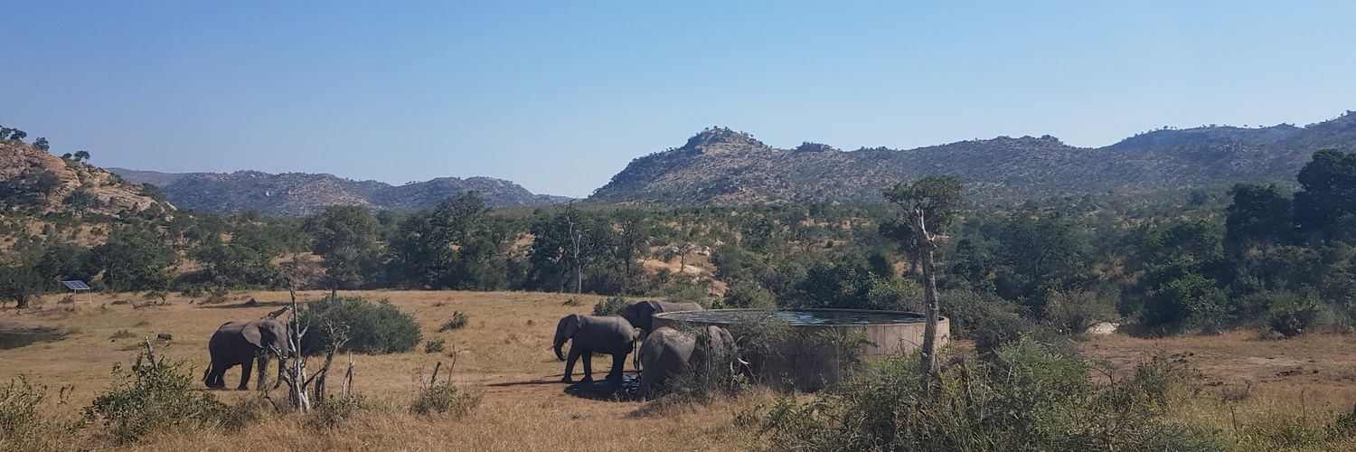 liezelhill's profile banner image
