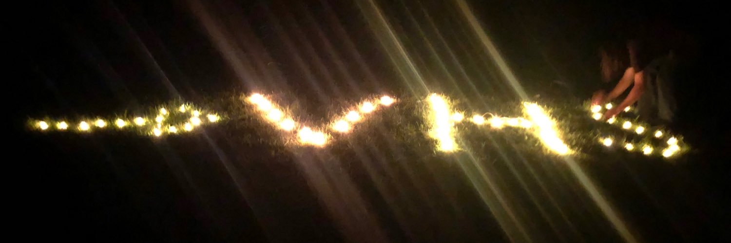 straighttovhs's profile banner image