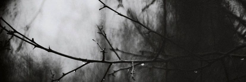 Nalights1's profile banner image