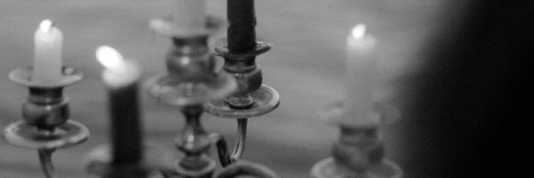 trillillian Profile Banner