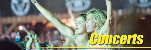emily-bisharp banner