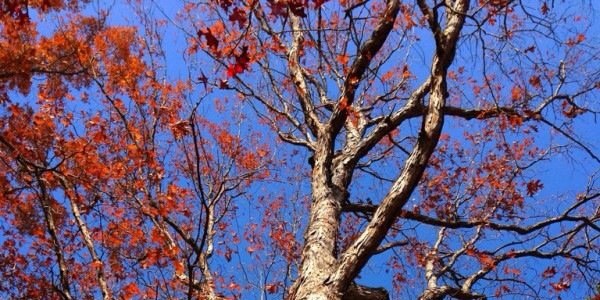XxCrystalxxo's profile banner image