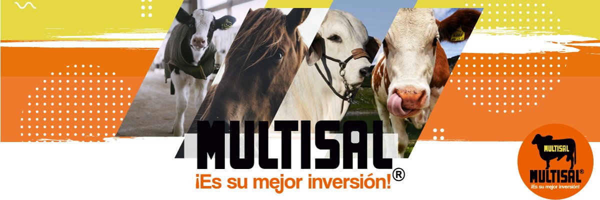 Multisal's profile banner image