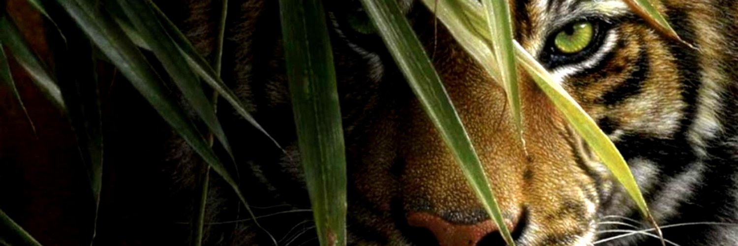 itsjayvincent's profile banner image