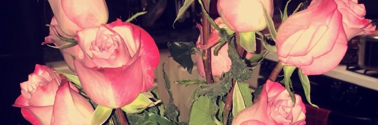 chvnte_'s profile banner image