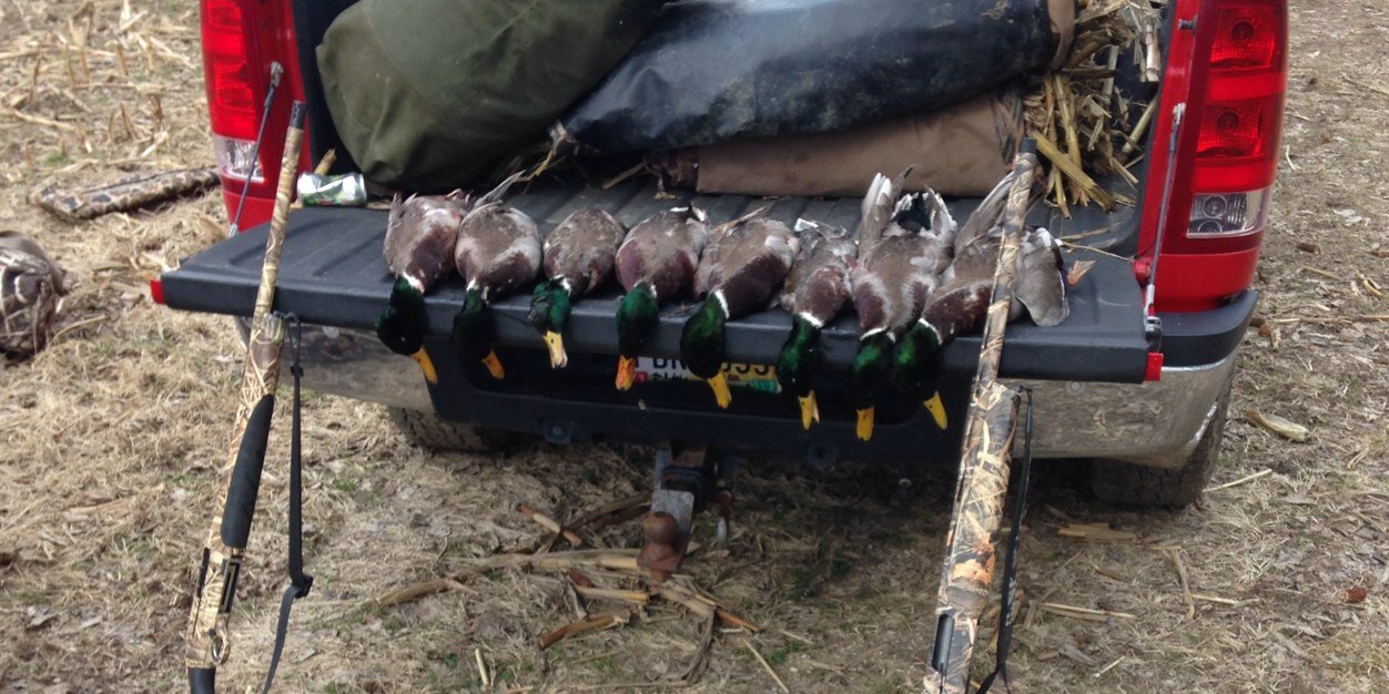 3854brown's profile banner image