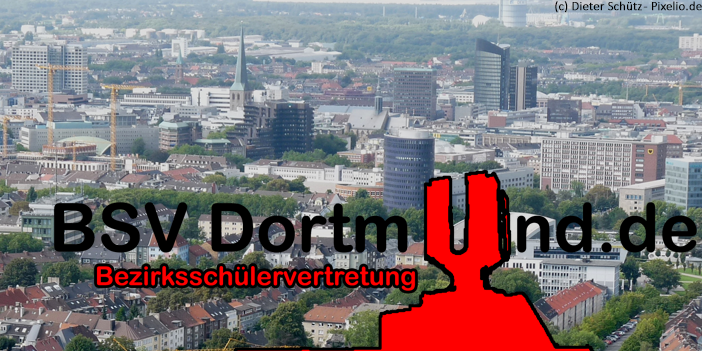 BSVDortmund's profile banner image