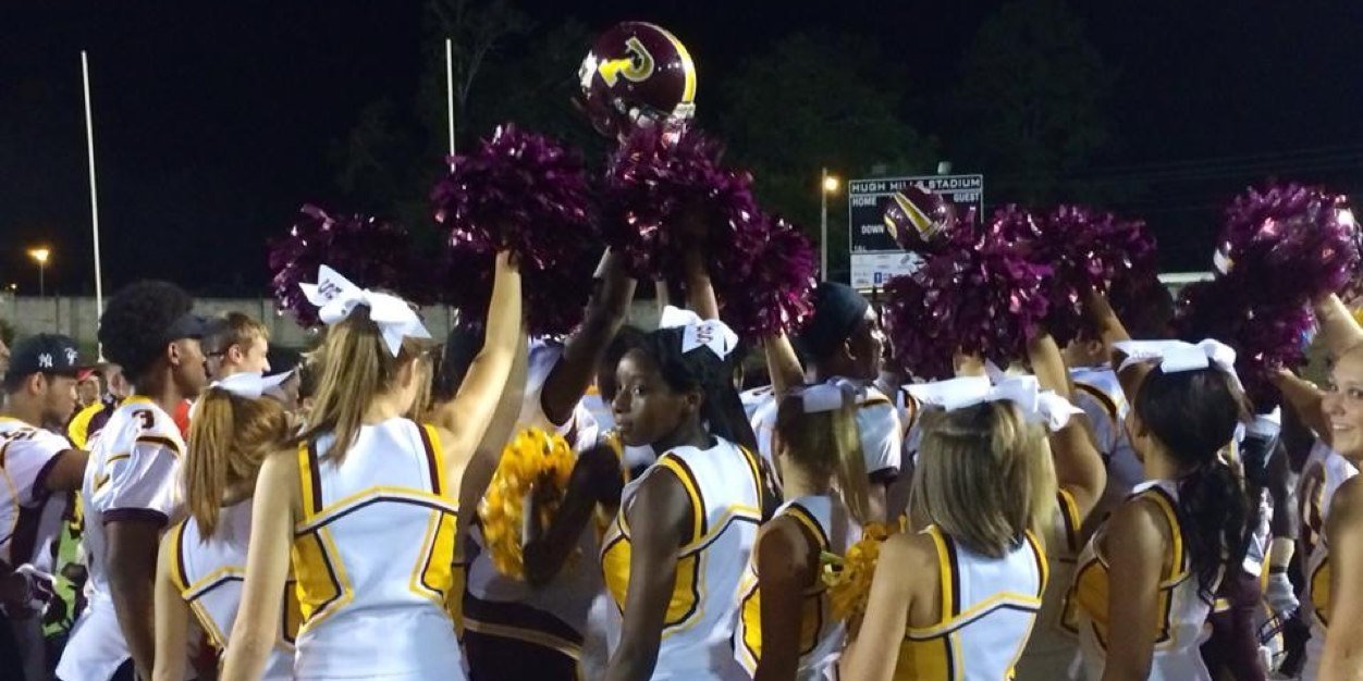 Perry Panthers banner