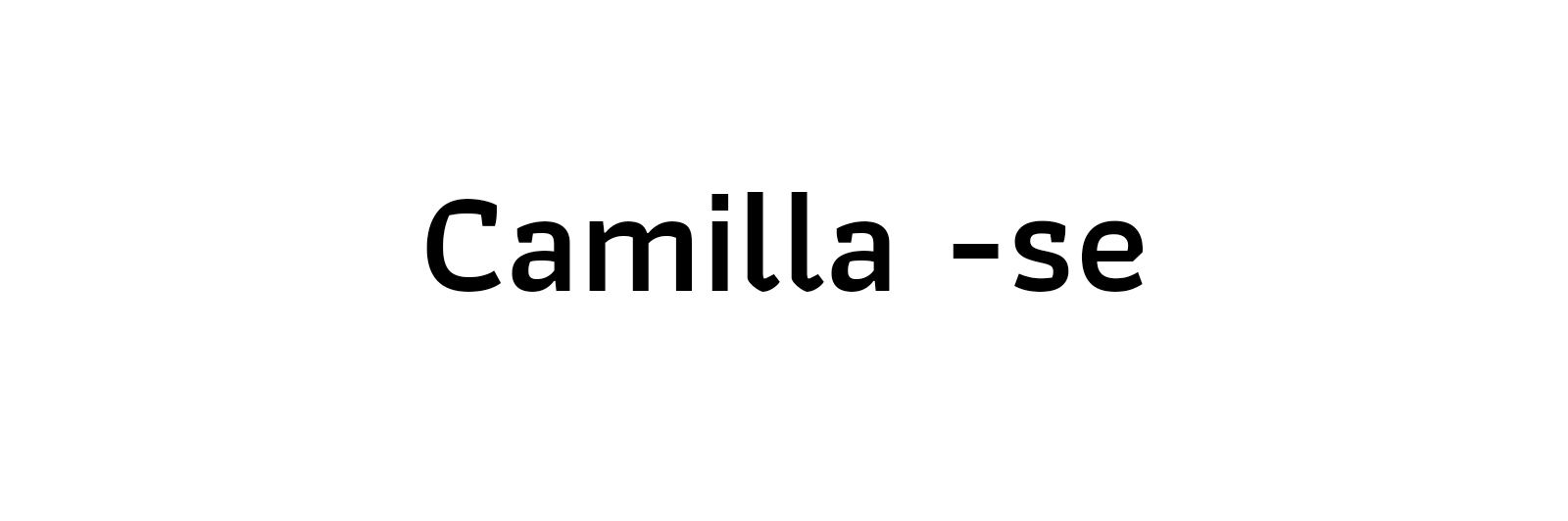 caamillando's profile banner image