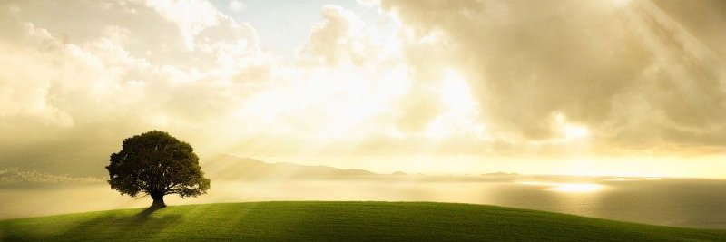 BohorquezM01's profile banner image