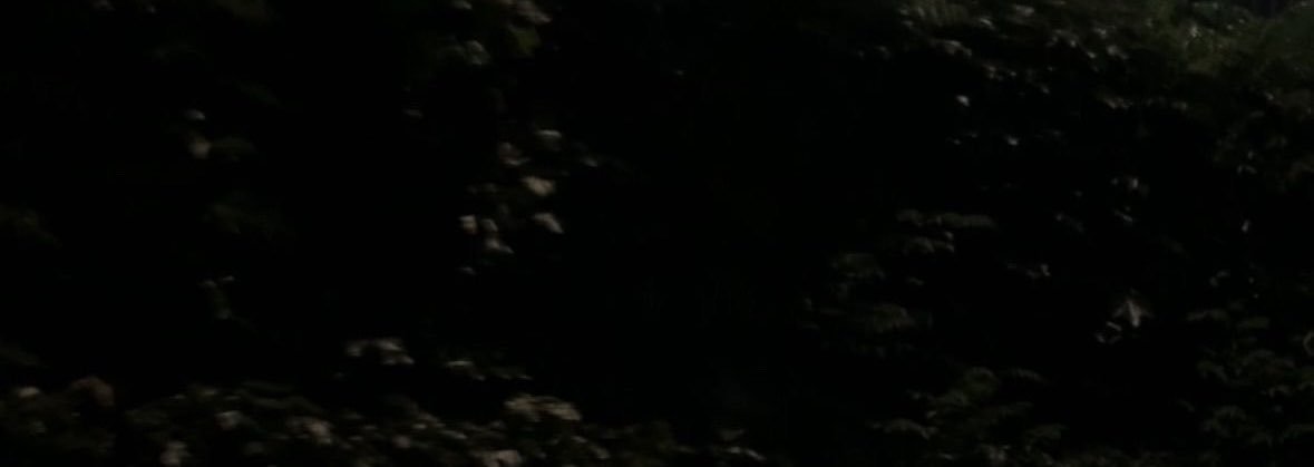 _1Amjad_'s profile banner image
