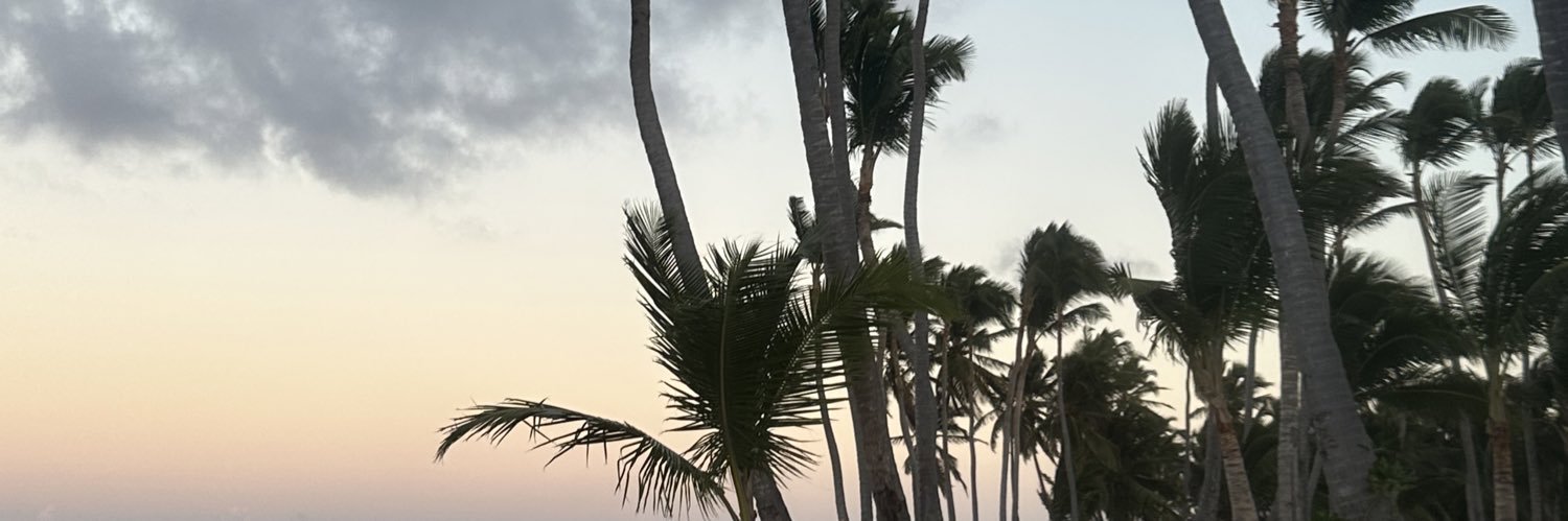 gabybaques's profile banner image