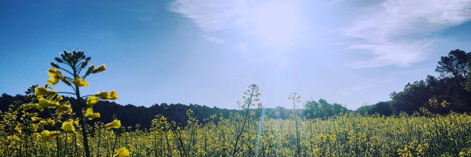 dcortes's profile banner image