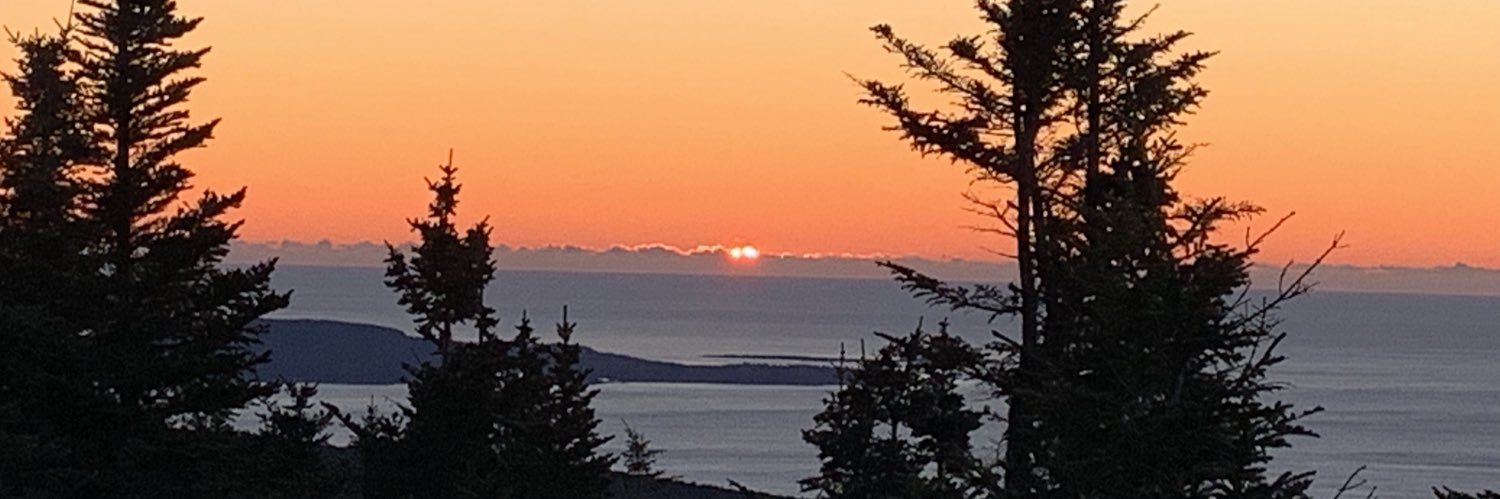 llmontaseri's profile banner image