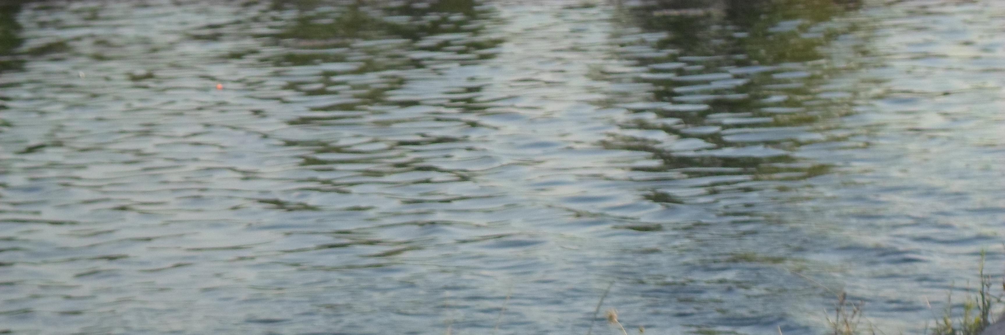 Lodeiroteamo's profile banner image