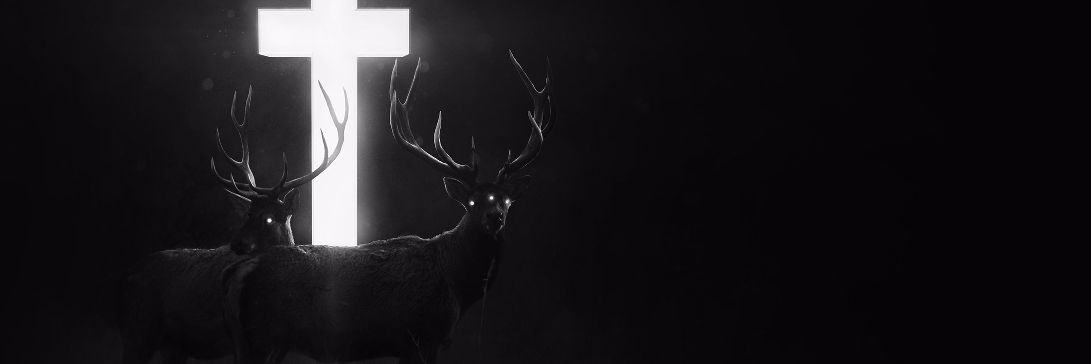 sirshutterbyte's profile banner image