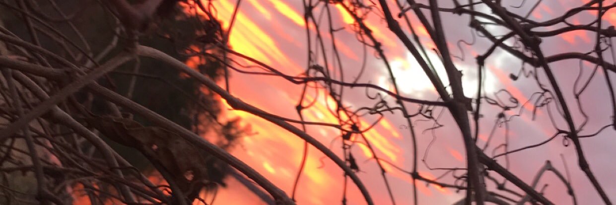 Tanner_Stogner's profile banner image