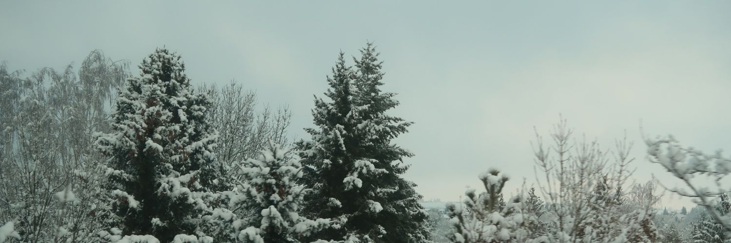 GasbrigiHD's profile banner image