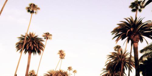 Scxyfakc's profile banner image