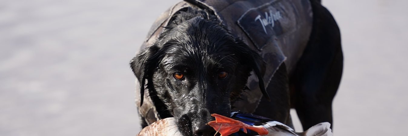 Jack_Roberts08's profile banner image