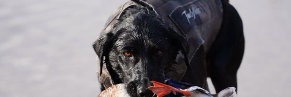 Jack_Roberts08 Profile Banner