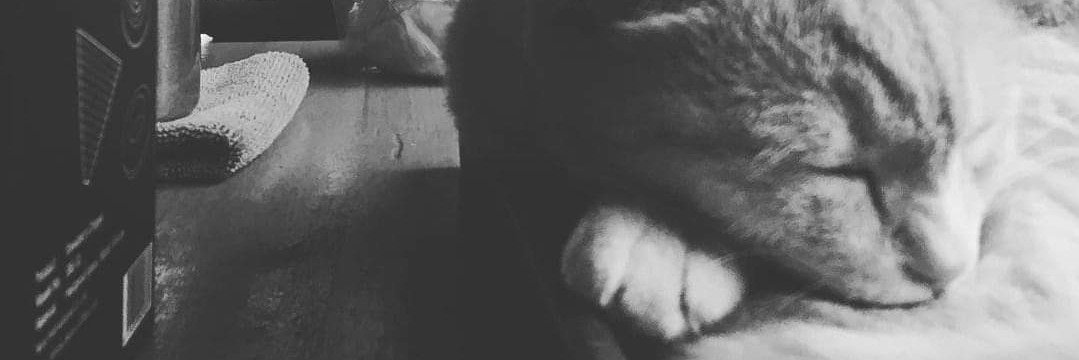 maduzaa555's profile banner image