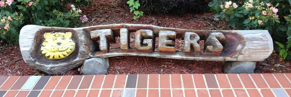 Festus Elementary banner