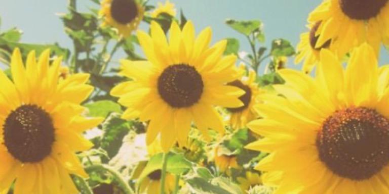 CorieBeth11's profile banner image