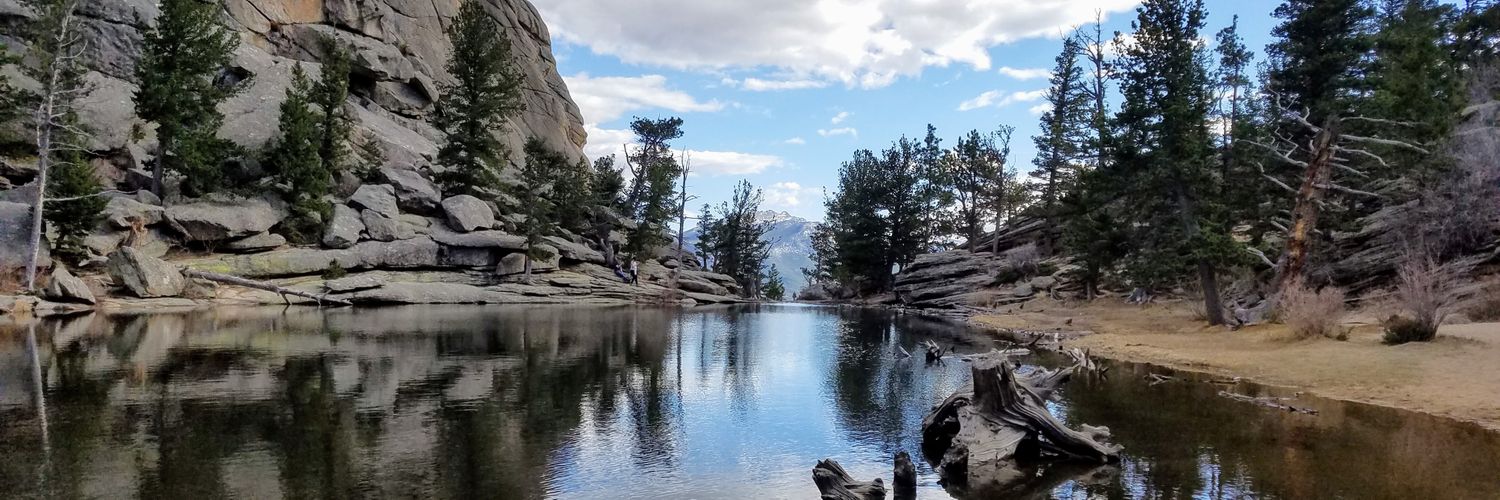 Joel Ti❌️❌️ons II banner