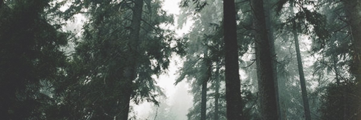 dommixx49's profile banner image