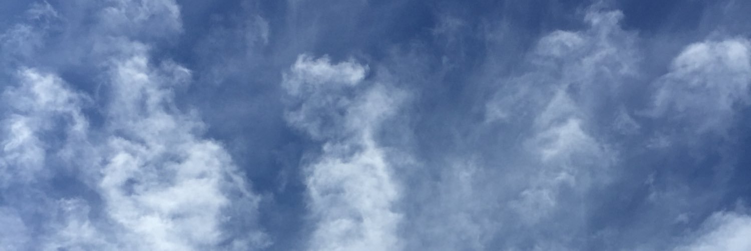 MariCChong's profile banner image