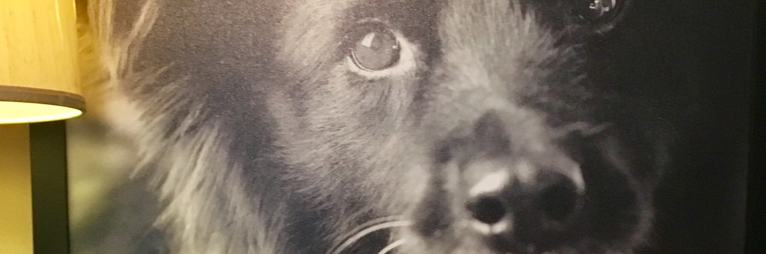 willnville's profile banner image
