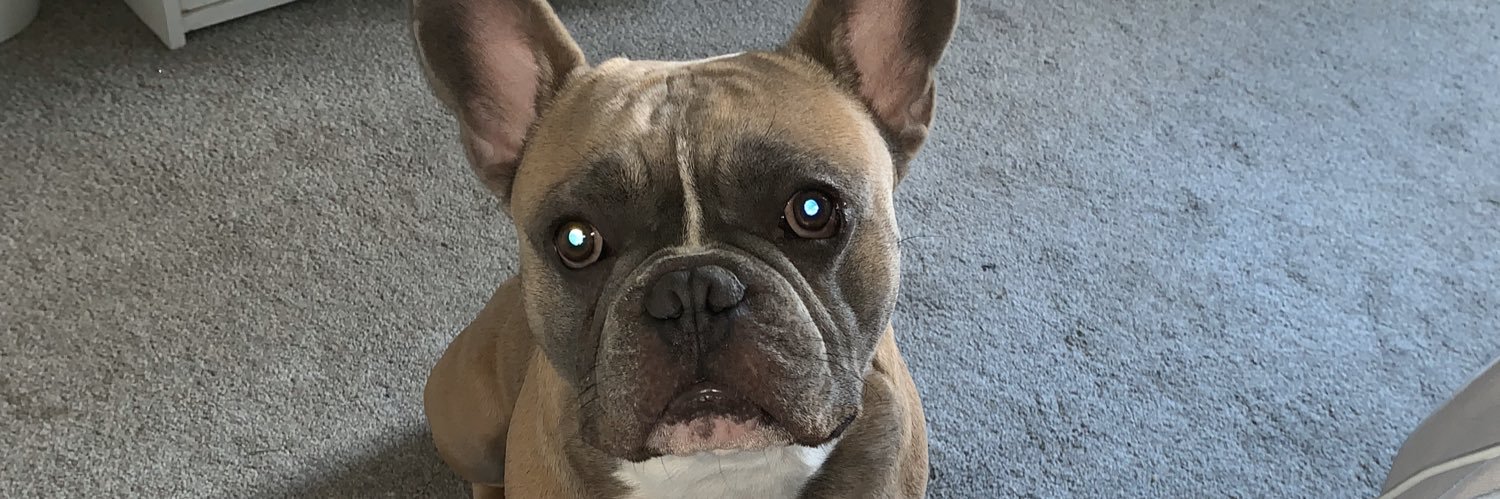 demimcintee's profile banner image