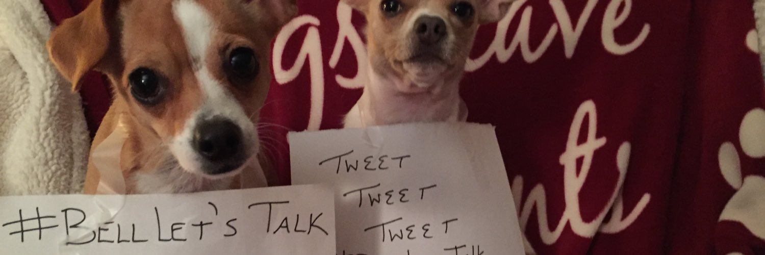 amlpicklesoup's profile banner image