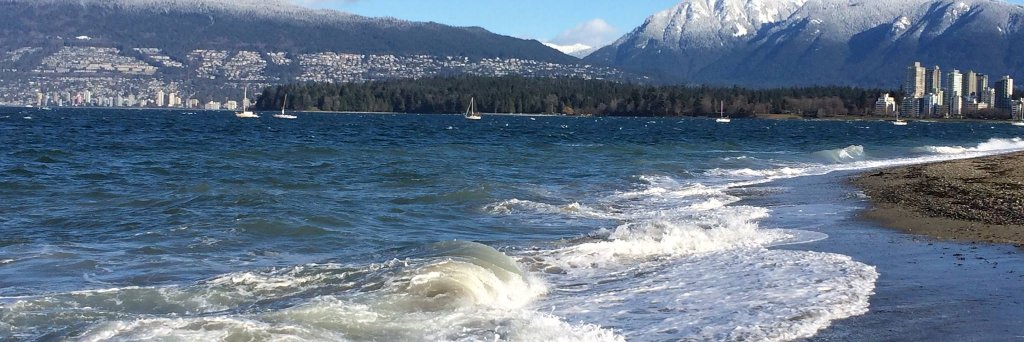 Shawn Stevens banner