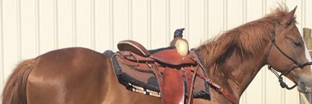 GuthmannSpencer's profile banner image