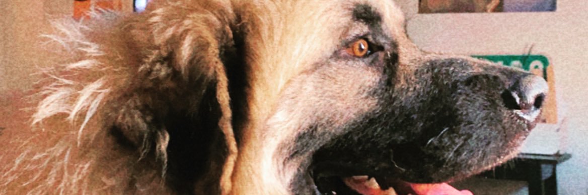 KDYarbrough30's profile banner image