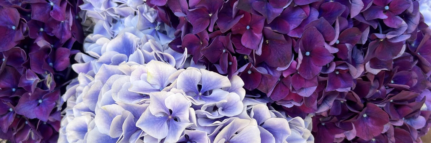 mynameleezza's profile banner image