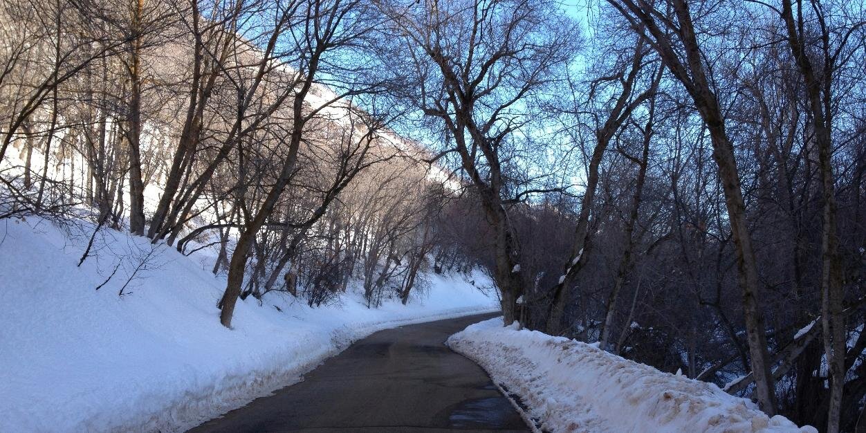 Ashley Gleason banner