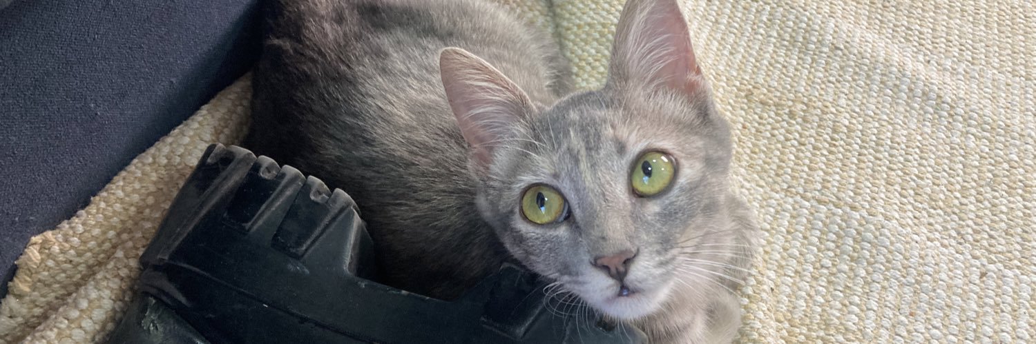 KalilIsadora's profile banner image