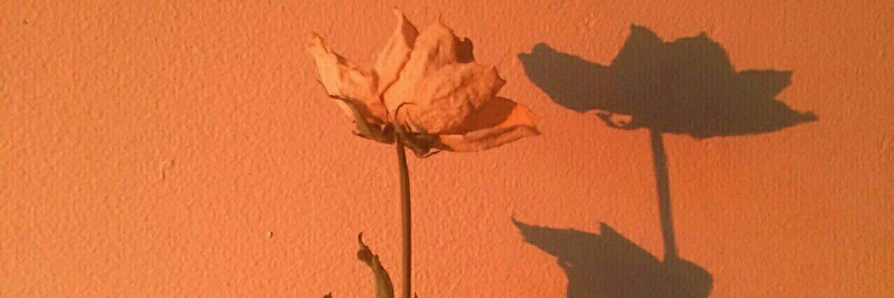 HeyYouDulce's profile banner image