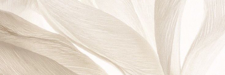 mfeer___'s profile banner image