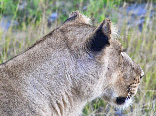 Juan José Escribano Otero banner